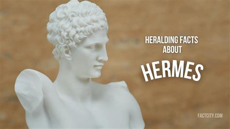 info about hermes|interesting facts about hermes.